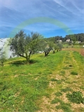 Photo numero 47165857 du bien UBI471766364